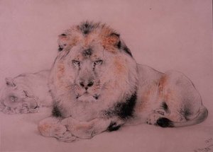 Leeuw en Leeuwin door William Huggins