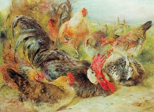 Gevogelte door William Huggins