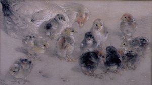 Studie van Kippen door William Huggins