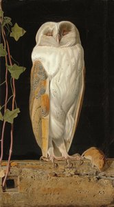De Witte Uil: "Alleen en verwarmend zijn vijf zinnen, zit de witte uil in de klokkentoren", 1856 door William J. Webbe