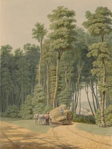 Zomer - Een verkeersongeluk. Een glimp door een opening van het oerwoud door William James Bennett