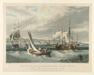 Uitzicht op de Quarantaine van New York, Staten Island. door William James Bennett