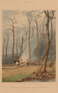 Lente - Brandende Gevallen Bomen in een Gekapte Openplek. Westers Tafereel door William James Bennett after George Harvey