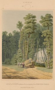 Zomer - Een Verkeersongeval. Een Glimp door een Opening van het Oerbos. Thornville, Ohio door William James Bennett after George Harvey