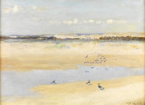 Kieviten bij de zee door William James Laidlay