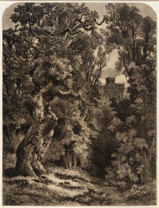 Landschap