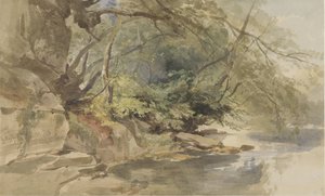 Gezicht in Stapleton Wood, bij Bristol door William James Muller