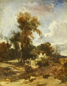 Bij Roe, Noord-Wales door William James Muller