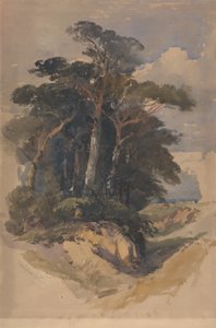 Pijnbomen op Hampstead Heath door William James Muller