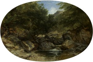 Rotsachtige stroom bij Lynmouth door William James Muller