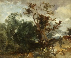 Studie van Bomen, c.1840 door William James Muller
