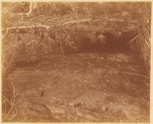 Zonder titel, uit de portfolio The Forest: Adirondack bossen door William James Stillman