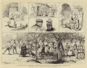 Schetsen in een Normandische Ciderboomgaard, I