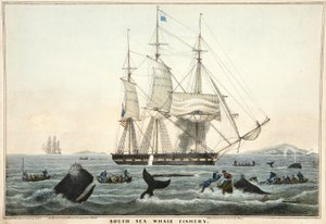 Zuidzee Walvisvangst, uitgegeven 1825