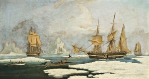 De Noordelijke Walvisvangst: Het schip Harmony van Hull en andere ijsgebonden walvisjagers, jagen op zeehonden, narwallen en walvissen op het Davis Straits walvisvangstgebied bij Groenland