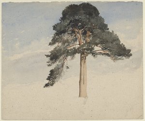 Schotse dennenboom door William Leighton Leitch