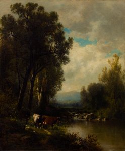 Vee aan de Rivier door William M. Hart