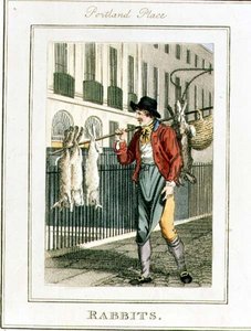 Konijnen, Portland Place, uit 