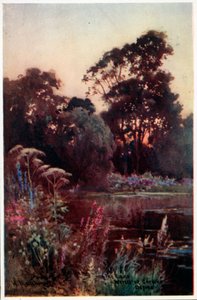 Worcester College Tuin door William Matthison