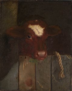 De Familie Koe