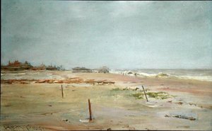 Strandscène