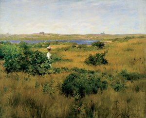 Zomer in Shinnecock Hills door William Merritt Chase