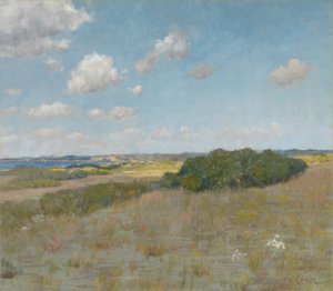 Zonlicht en schaduw, Shinnecock Hills door William Merritt Chase