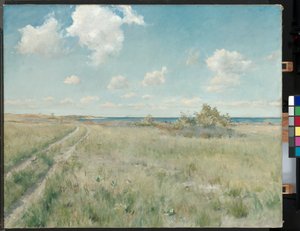 De Oude Weg naar de Zee, ca. 1893