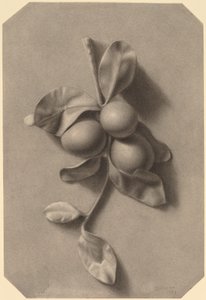 Een Takje Pruimen door William Michael Harnett