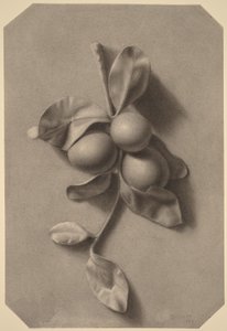 door William Michael Harnett