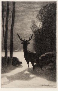 Stag in het maanlicht