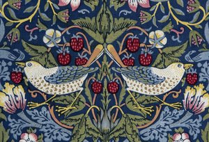 Decoratieve stof