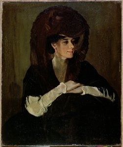 De bruine sluier