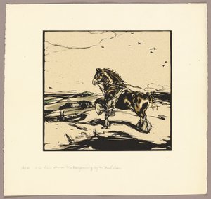 Het Shire paard door William Nicholson
