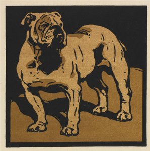 Het Vierkante Boek van Dieren: De Britse Bulldog