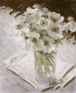 Witte anemonen