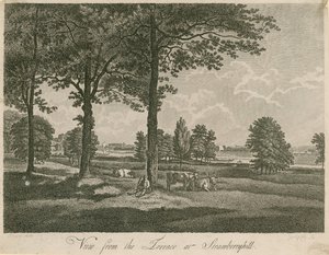 Uitzicht vanaf het terras van Strawberry Hill, Londen door William Pars