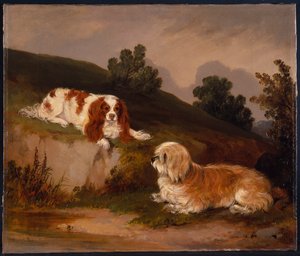 Landschap met spaniël en terriër