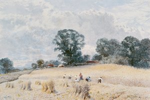 De Oogst door William Paton Burton