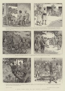 Een koninklijke tijgerjacht, of, de perfecte regeling door William Ralston