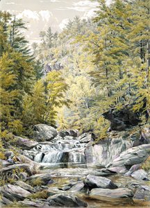 Catskill Clove, 1856 door William Rickarby Miller