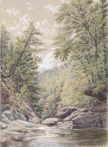 Catskill Clove in Palingsville door William Rickarby Miller