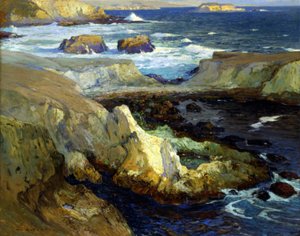 Avondvloed, Californië door William Ritschel