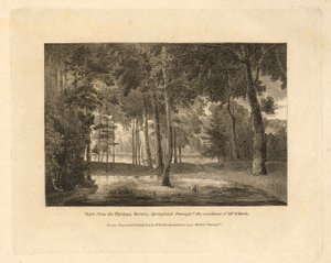 De county seats van de Verenigde Staten van Noord-Amerika, set van 20 platen, inleidende tekst en 2 omslagbladen door William Russell Birch