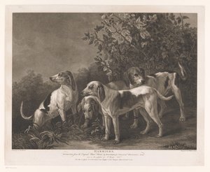 Vier jachthonden (title on object: Harriers) door William Satchwell Leney