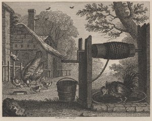 De Oude Hen en de Haan