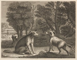 De herdershond en de wolf