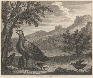 De Kalkoen en de Mier door William Skelton