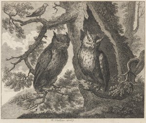 De twee uilen en de mus