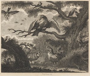 De gier, de mus en andere vogels